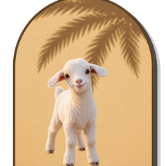 ملود